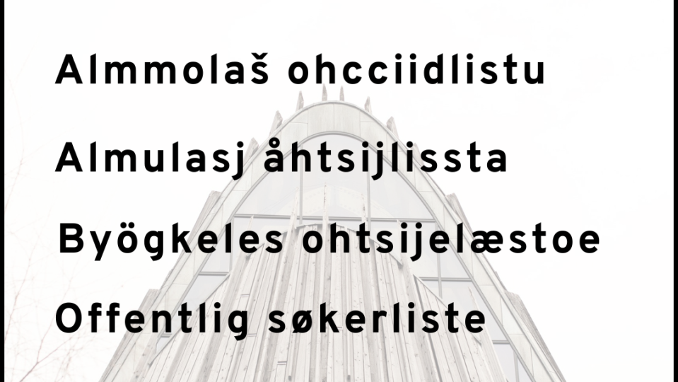Lenke til artikkel: Direktør – toppleder for administrasjonen i Sametinget
