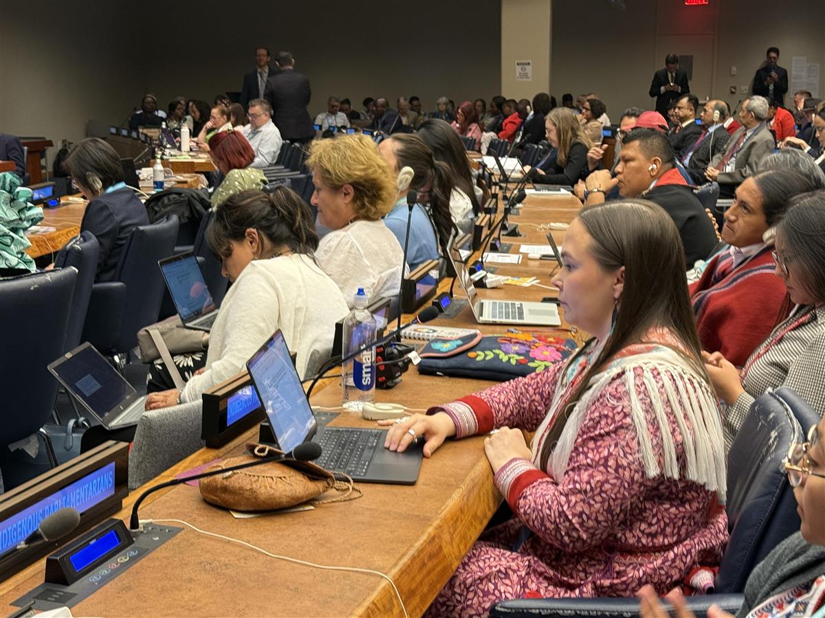 Sametinget deltar på FNs permanente forum for urfolksssaker i New York, USA